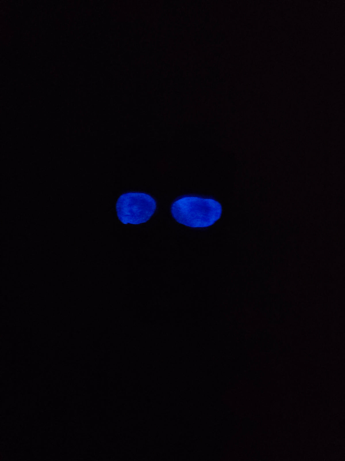 #15 - Glass Skull with Purple Mica & Purple Glow Eyes