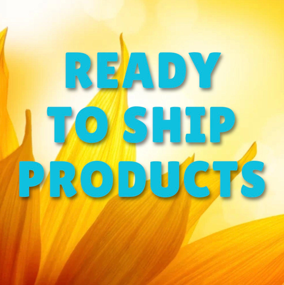 Ready to Ship products
