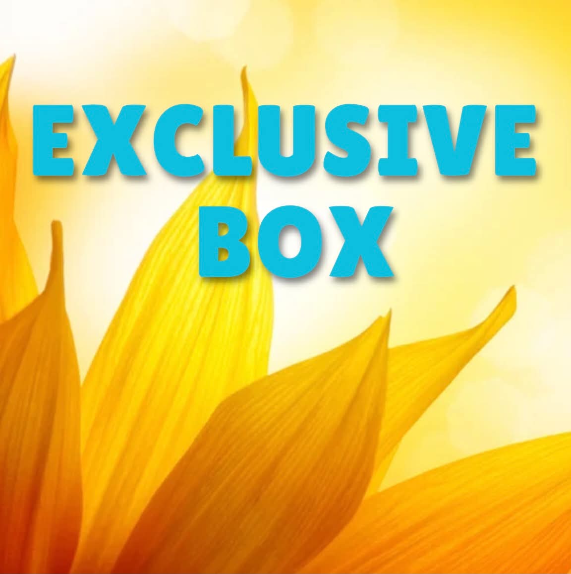 Exclusive Box