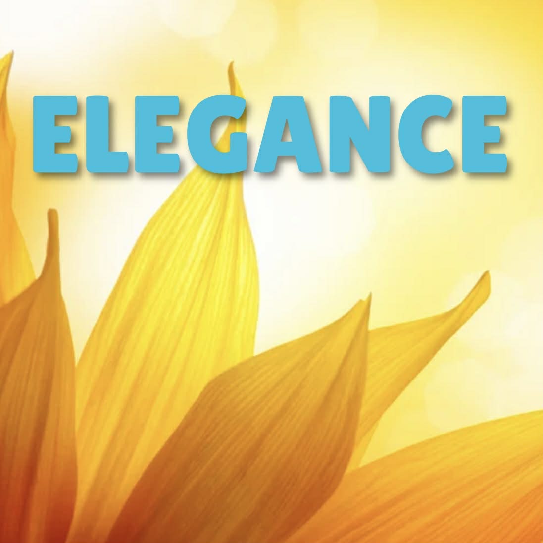 Elegance Zoom Class Saturday April 18th 11am cst