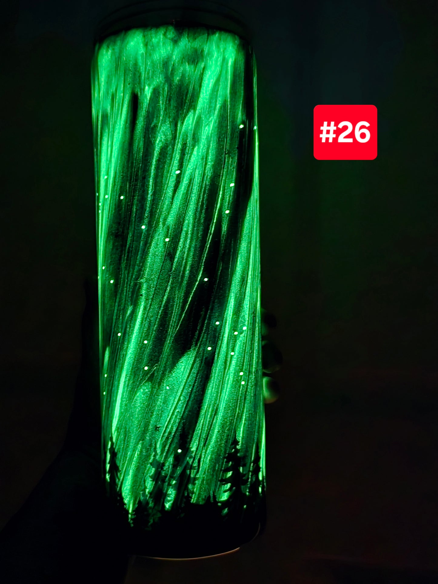 #26 Live Sale 2/01/2026 - 30oz Skinny- Northern lights