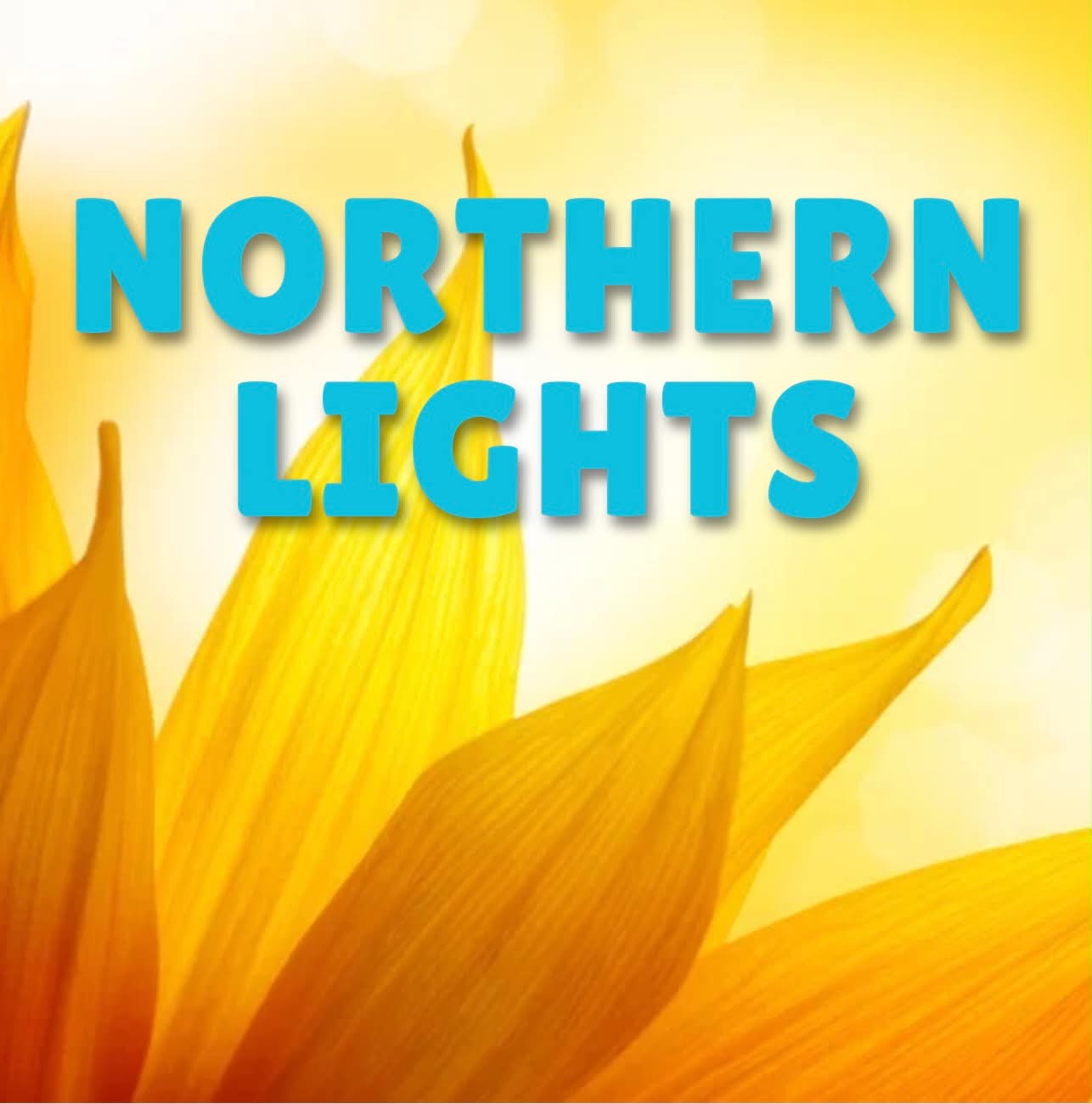 Northern Lights Zoom Class Saturday June 10th 7pm cst