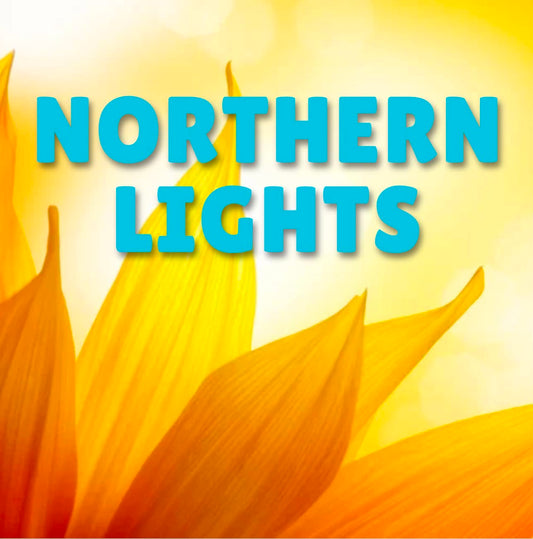 Northern Lights Zoom Class Saturday June 10th 7pm cst